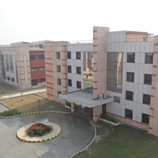 web designing company in delhi